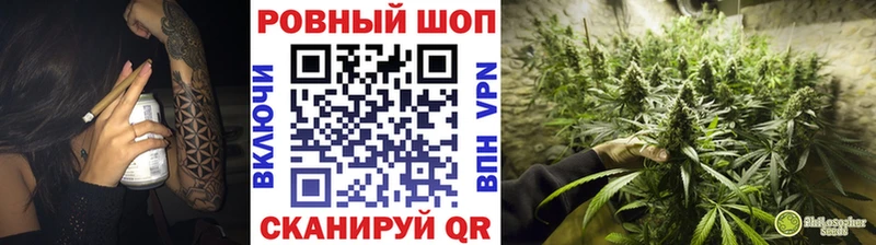 LSD-25 Кирс