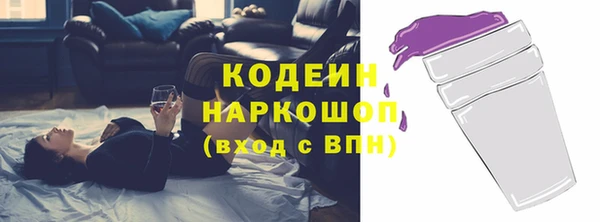 ГАЛЛЮЦИНОГЕННЫЕ ГРИБЫ Инсар