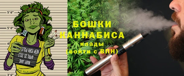 крисы Каменногорск
