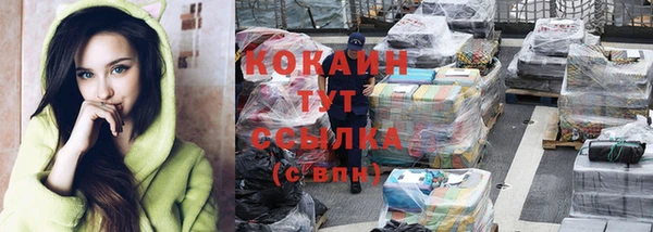 мескалин Каменка